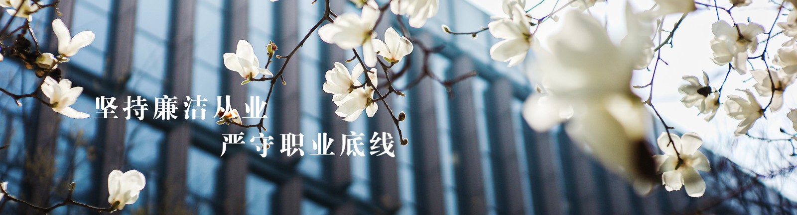 皇冠信用盘