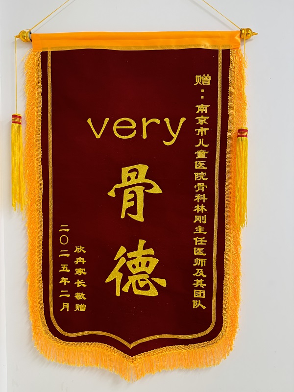 锦旗2502-骨科207B林刚及医疗团队.jpg